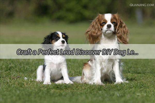 Craft a Perfect Lead Discover DIY Dog Leash Projects for Your Furry Friend